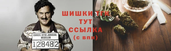 мдпв Волоколамск