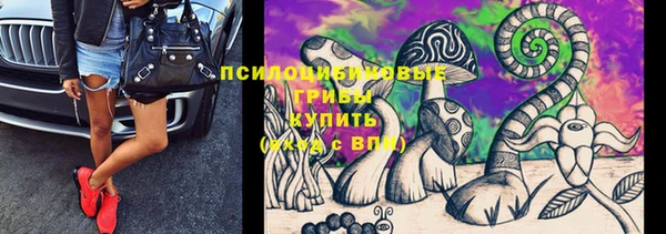 сатива Володарск