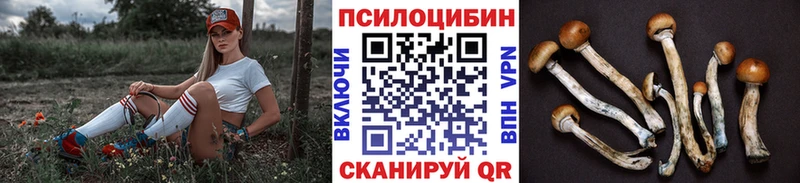 Галлюциногенные грибы прущие грибы  что такое наркотик  Глазов 