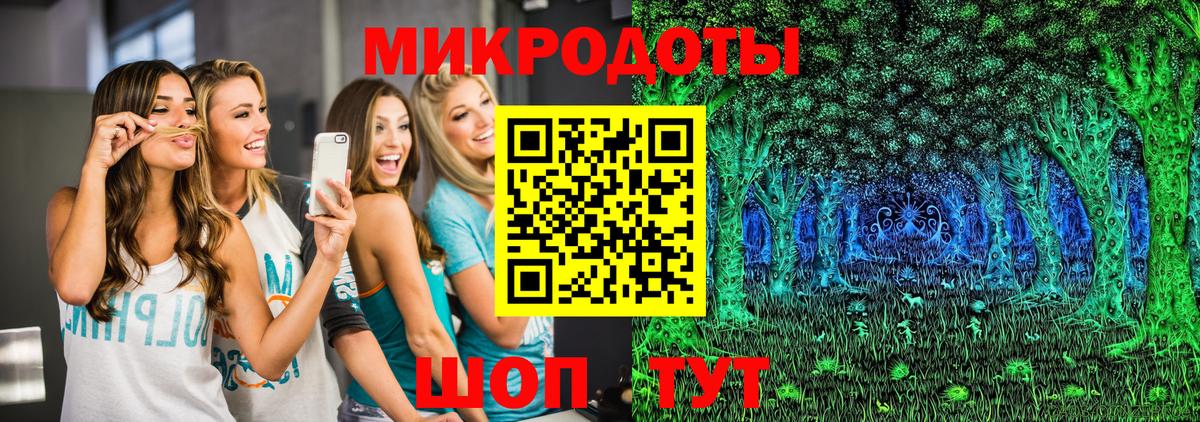 Псилоцибиновые грибы Psilocybe  Вход с VPN  Глазов 
