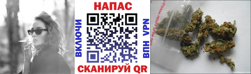 Бошки марихуана MAZAR  Глазов 