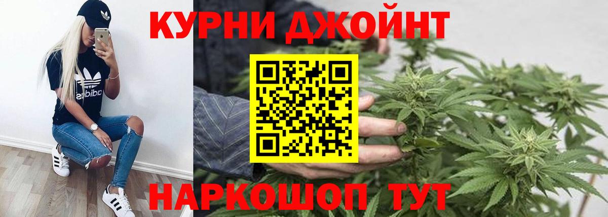 Бошки Шишки планчик  Шишки марихуана план  Конопля THC 21%  МАРИХУАНА конопля  Вход с VPN  Глазов 